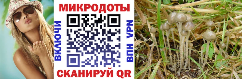 Галлюциногенные грибы Cubensis  закладка  Новая Ляля 