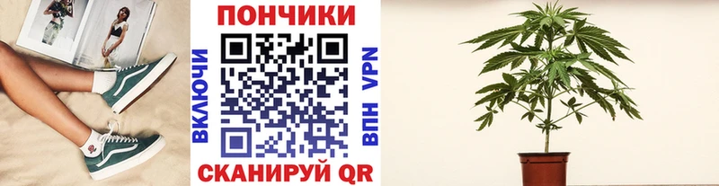Конопля сатива  Новая Ляля 